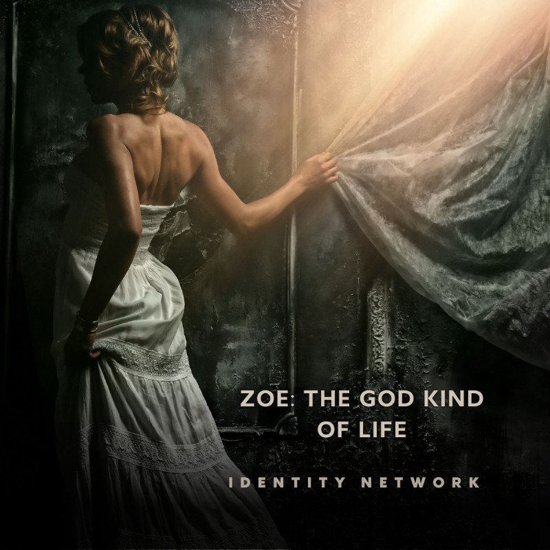 Zoe: The God Kind of Life (Instrumental Music MP3) by Identity Network