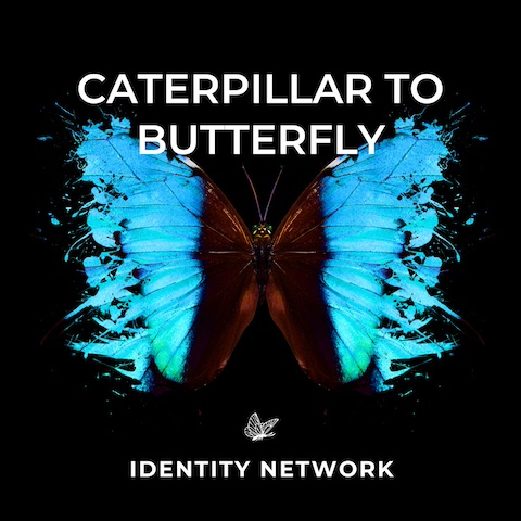 Caterpillar to Butterfly (Instrumental Music MP3) by Identity Network