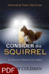 Consider the Squirrel: A Collection of Modern-Day Parables (E-Book PDF Download) by Bobby Coleman