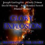 Glory Explosion: Manifesting Glory (15 Teaching CDs) by Joseph Garlington, David Herzog, Ana Mendez Ferrell, Dianne Palmer