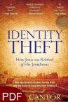 Identity Theft (E-book PDF Download) by Ron Cantor
