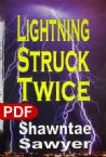 Lightning Struck Twice (E-book PDF Download) by Shawntae Sawyer