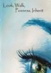 Look, Walk, Possess, Inherit (Teaching CD) by Matthew Hester
