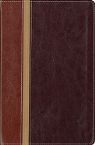 Message Parallel Study Bible-PR-NIV/MS-Numbered Personal Size - Updated - (bible) by Zondervan Bibles