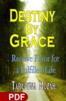 Destiny By Grace (E-Book PDF Download) By Tarupiwa Muzah