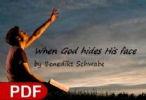When God Hides His Face (E-Book PDF Download) by Benedikt Schwabe