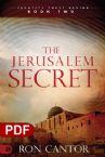 The Jerusalem Secret: Identity Theft, Book 2 (e-Book PDF Dowload) by Ron Cantor