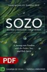 SOZO Saved Healed Delivered: A Journey into Freedom with the Father, Son, and Holy Spirit (e-Book PDF Download) by Teresa Liebscher, Dawna DeSilva