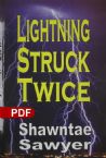 Lightning Struck Twice(E-book PDF Download)