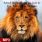 School of Awakening the Lion in You: Your Call as A Leader (MP3 Download Course) by Jeremy Lopez