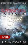 Supernatural Encounters with God: A Spiritual Journey (PDF Download) by Lanny Swaim