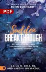 Sudden Breakthrough: Decrees, Prayers, and Confessions to Access Your Suddenly Moment  (PDF Download)  by LaJun M. Cole Sr. , Valora Shaw-Cole
