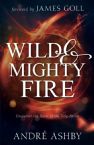 Wild & Mighty Fire:  Encounter the Power of the Holy Spirit (Paperback) by Andre Ashby