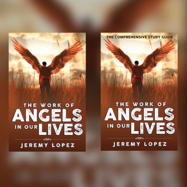 The Work of Angels in Our Lives Combo (Book & Study Guide) by Jeremy