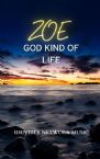 Zoe God Kind of Life Instrumental Music MP3) by Identity Network
