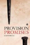 Provision Promises (book) by Joseph Prince