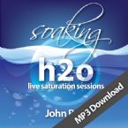 Soaking h2o Live Saturation Sessions (MP3 music download) by John Belt