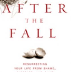 After the Fall (book) by Donald Hilliard