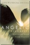 Angelic Encounters (book) James Goll
