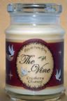 Soy Jar Candle (Gift) Cranberry Chutney