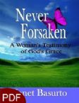 Never Forsaken: A Woman's Testimony of God's Grace (E-Book/PDF Download) by Janet Basurto