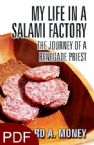 My Life in a Salami Factory: The Journey of a Renegade Priest (E-Book PDF Download) by Richard A. Money