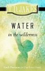 Water In The Wilderness (Book) by T.D. Jakes