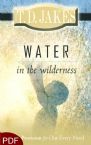 Water in the Wilderness (E-Book-PDF Download) By T.D. Jakes